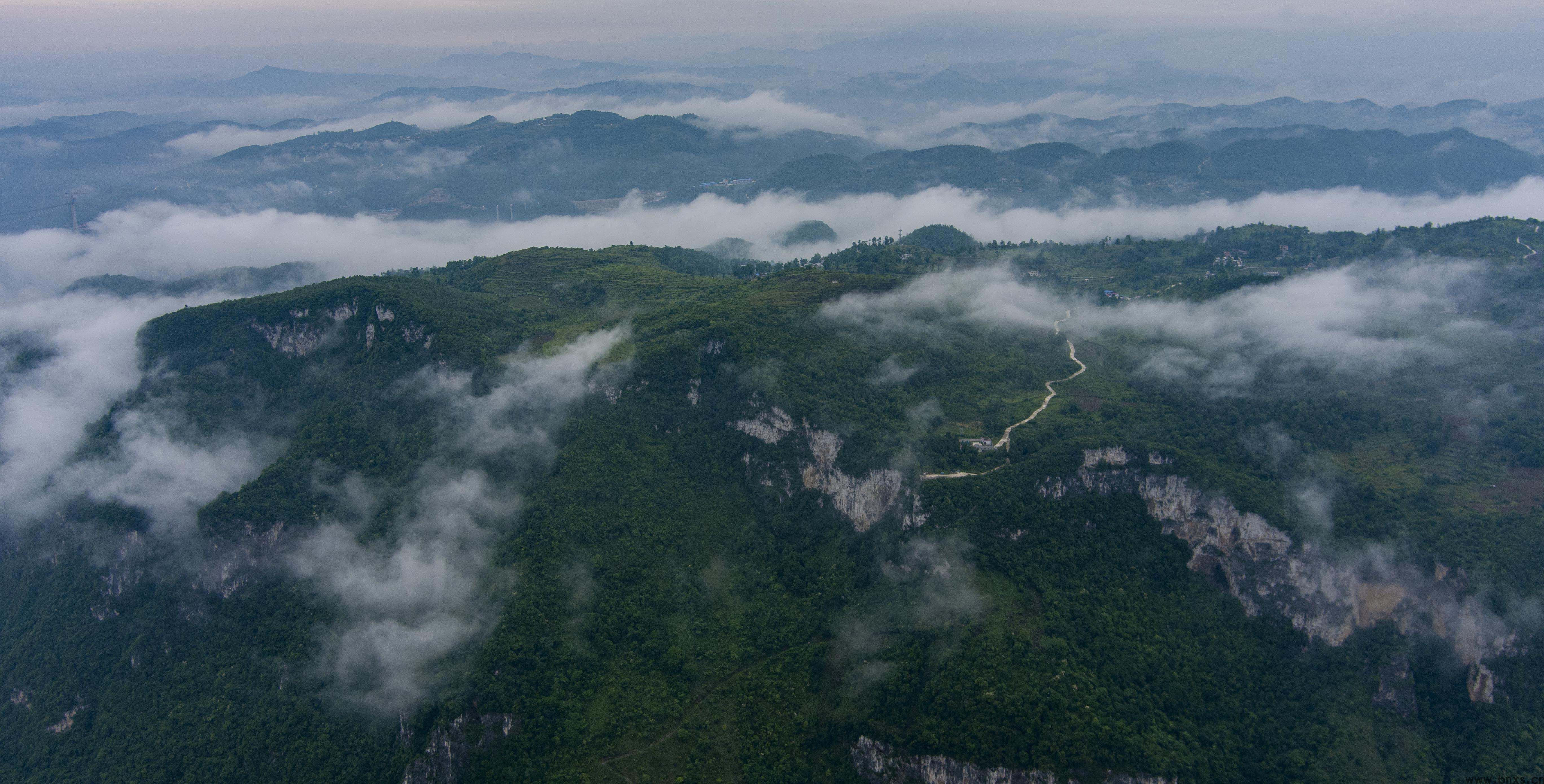 云雾满山飘